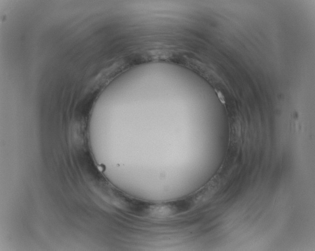 X0000073920218200609011817