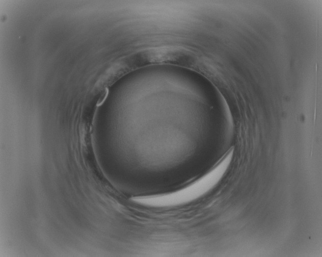 X0000073920219200609011817