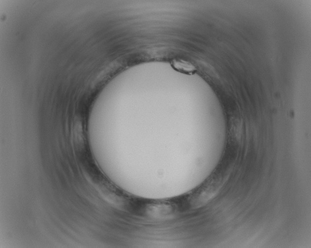 X0000073920220200609011817