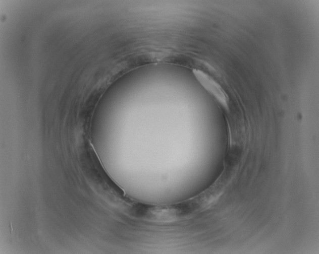 X0000073920221200609011817