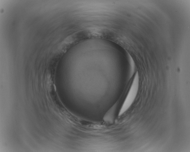 X0000073920223200609011817