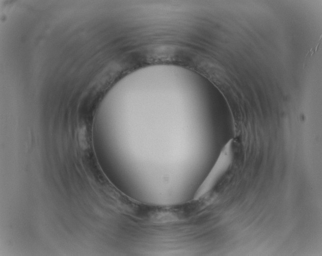 X0000073920224200609011817