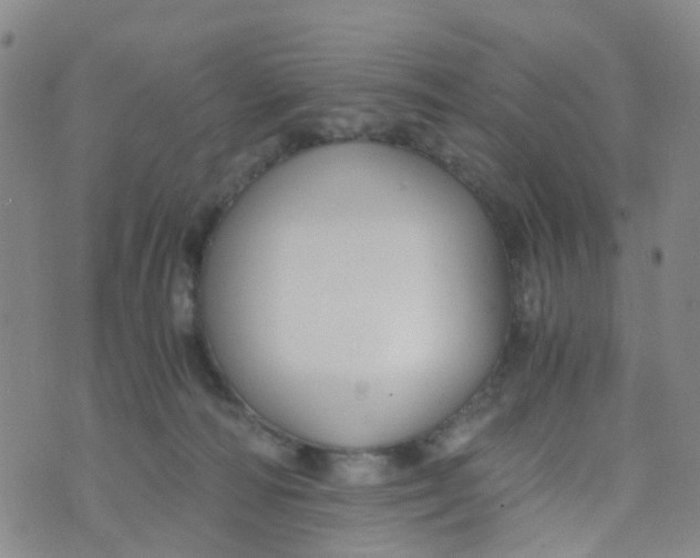 X0000073920226200609011817