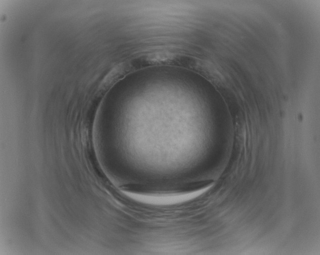 X0000073920227200609011817