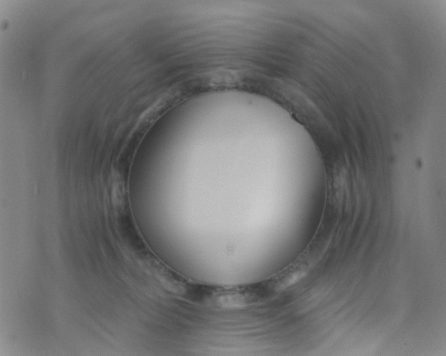 X0000073920228200609011817