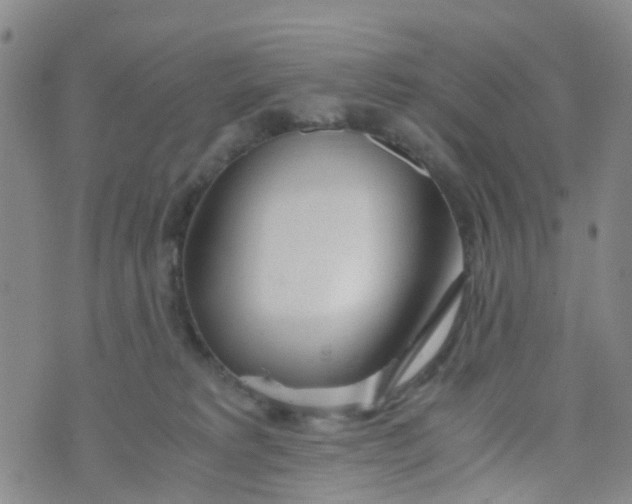 X0000073920229200609011817