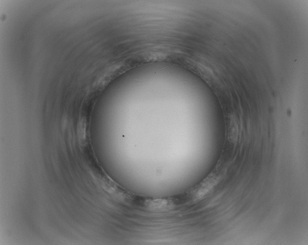 X0000073920230200609011817