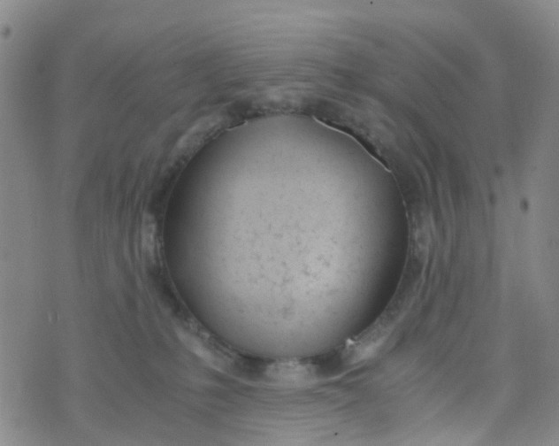 X0000073920231200609011817