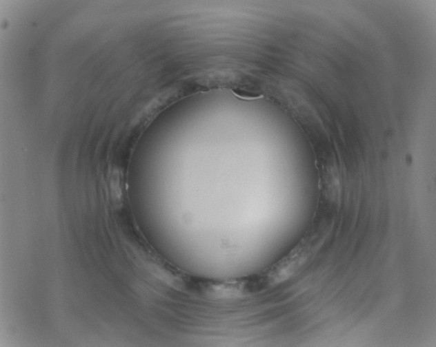 X0000073920232200609011817