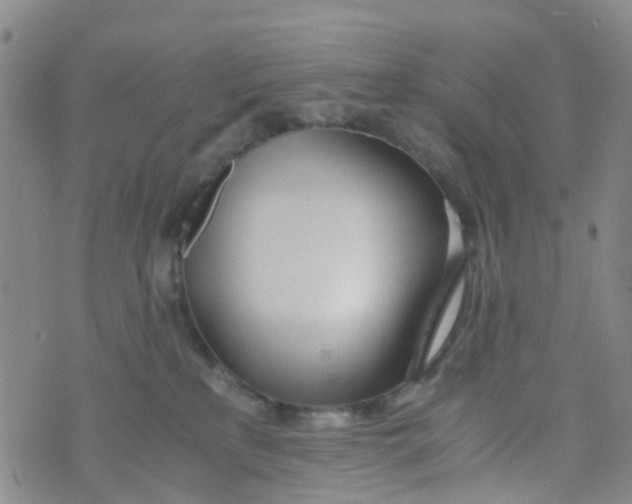 X0000073920233200609011817