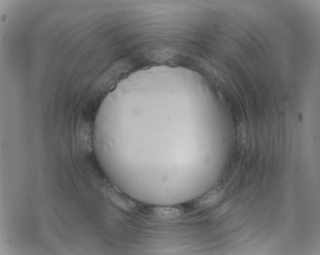 X0000073920234200609011817