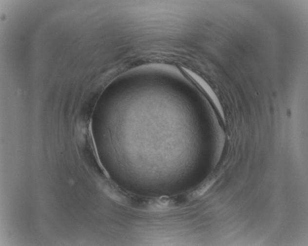 X0000073920235200609011817