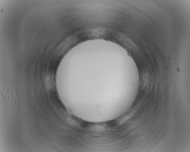 X0000073920236200609011817