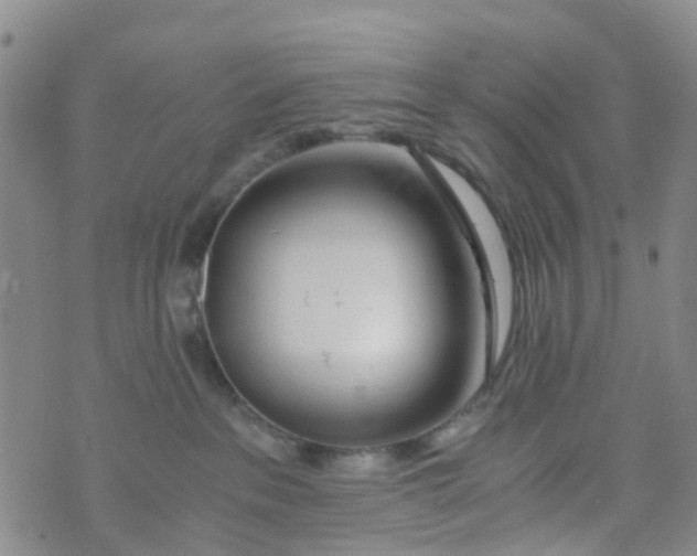 X0000073920237200609011817