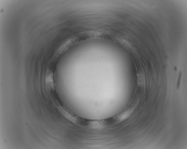 X0000073920238200609011817