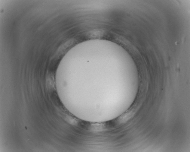 X0000073920240200609011817