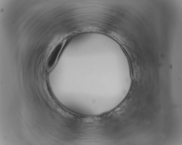 X0000073920241200609011816