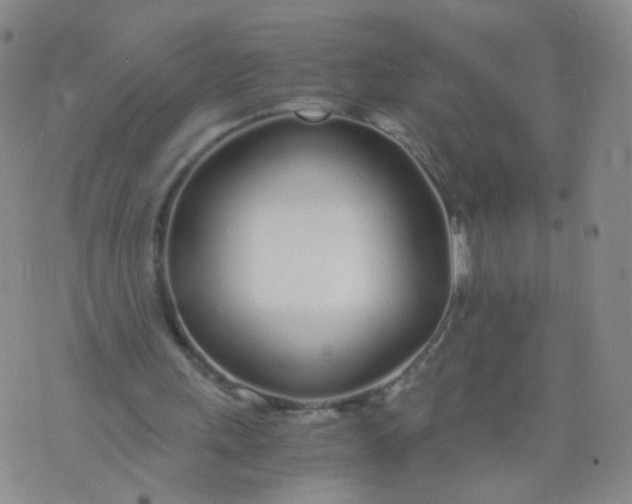 X0000073920243200609011816