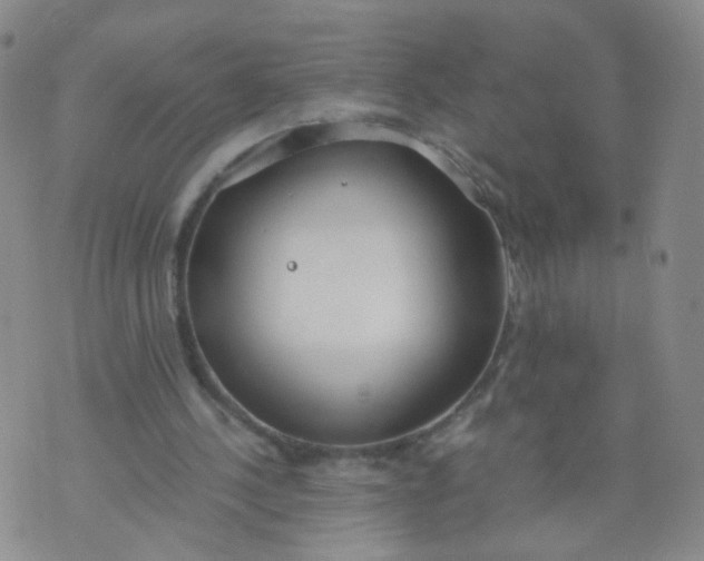 X0000073920244200609011816