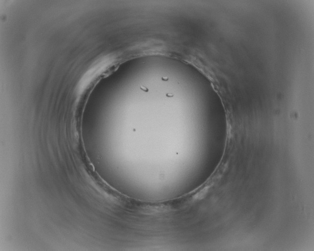 X0000073920245200609011816