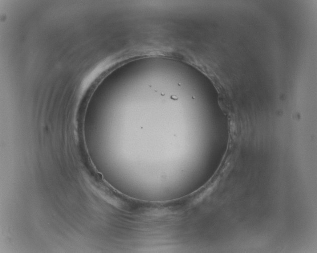 X0000073920246200609011816