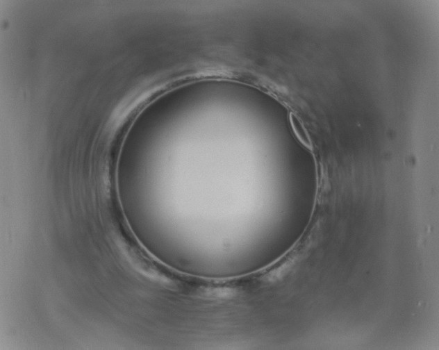 X0000073920247200609011816