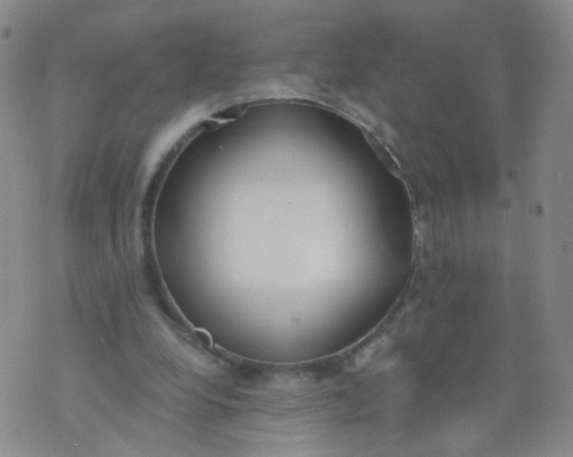 X0000073920248200609011816