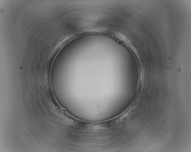 X0000073920249200609011816