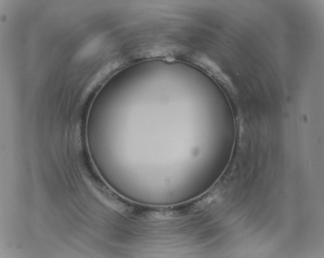 X0000073920250200609011816