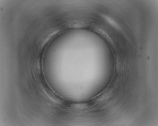 X0000073920251200609011816