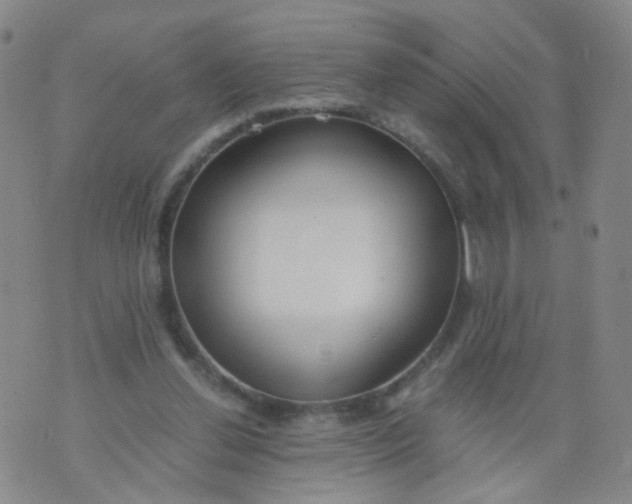 X0000073920252200609011816