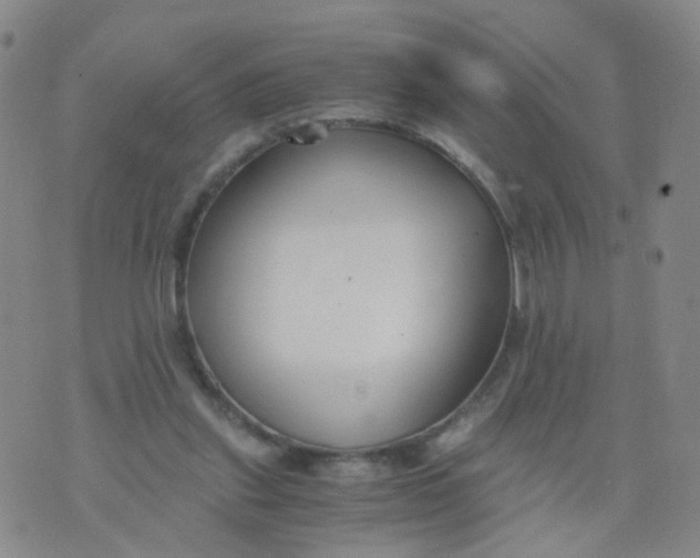 X0000073920253200609011816