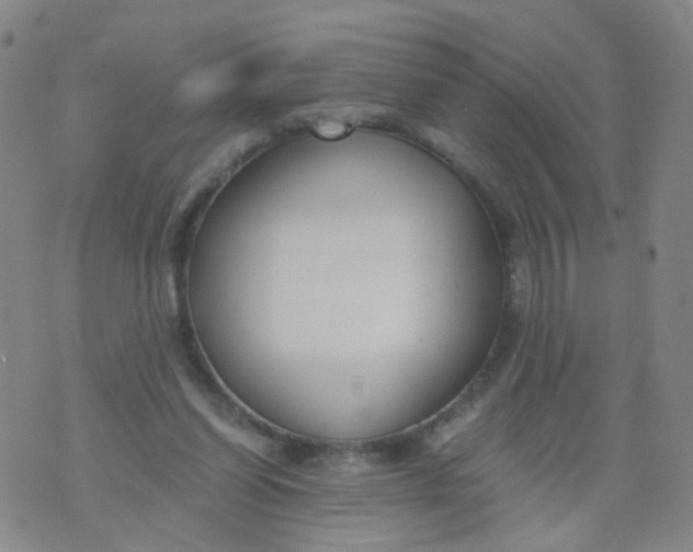 X0000073920254200609011816