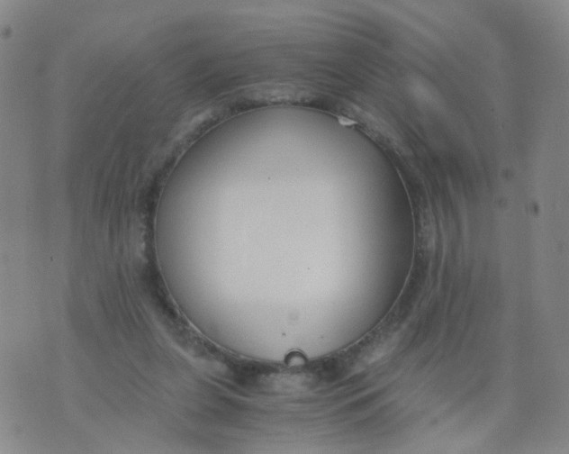 X0000073920255200609011816