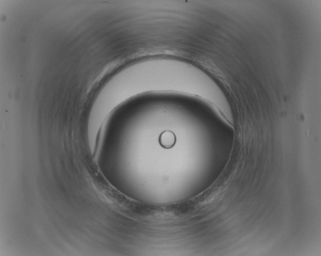 X0000073920256200609011816