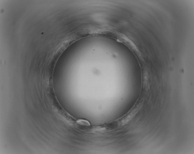 X0000073920257200609011816