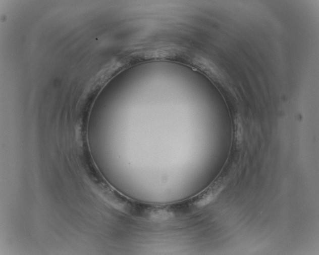 X0000073920258200609011816