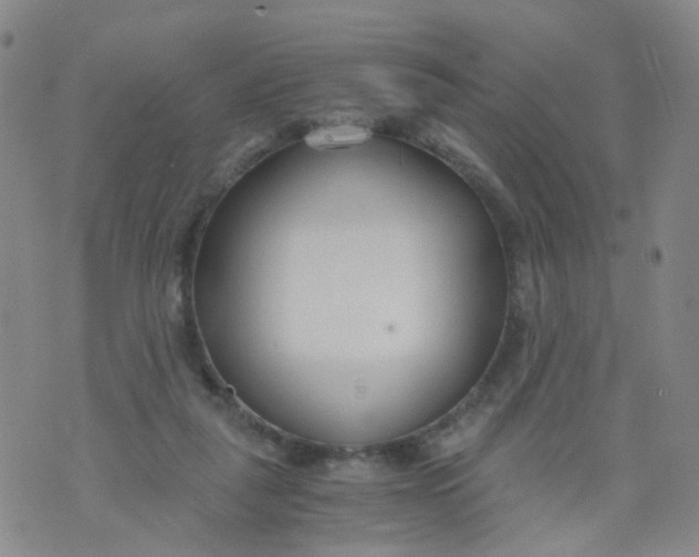 X0000073920259200609011816