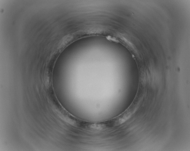 X0000073920261200609011816