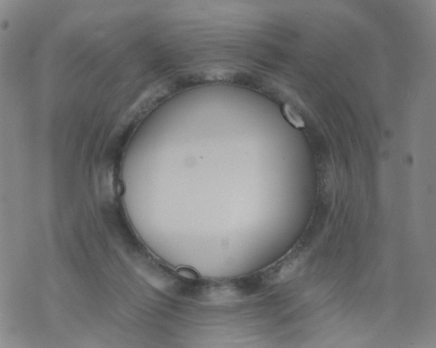 X0000073920262200609011816