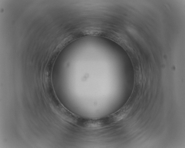 X0000073920263200609011816