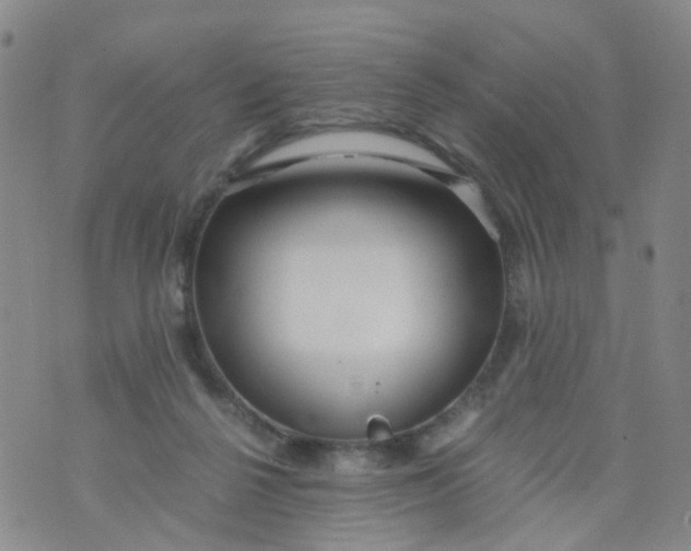 X0000073920264200609011816