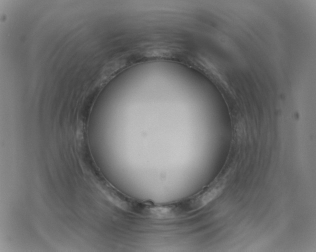 X0000073920265200609011816