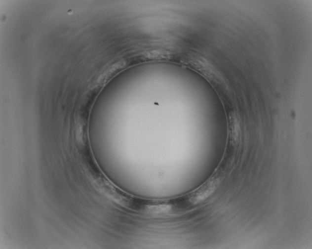 X0000073920266200609011817