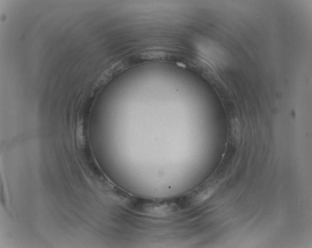 X0000073920267200609011817