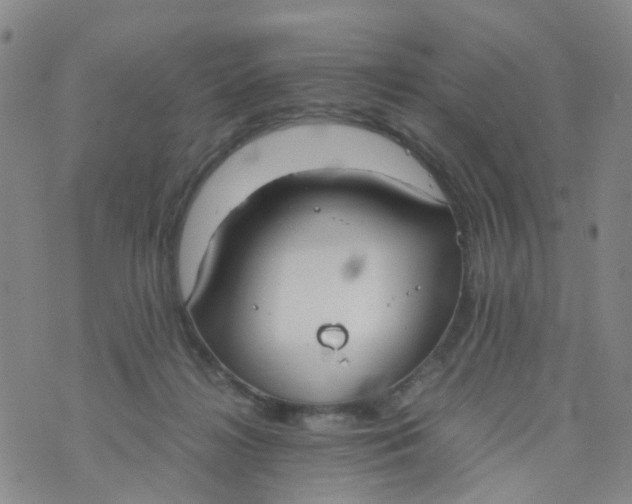 X0000073920268200609011817