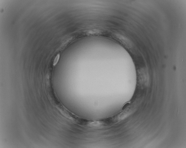 X0000073920269200609011817