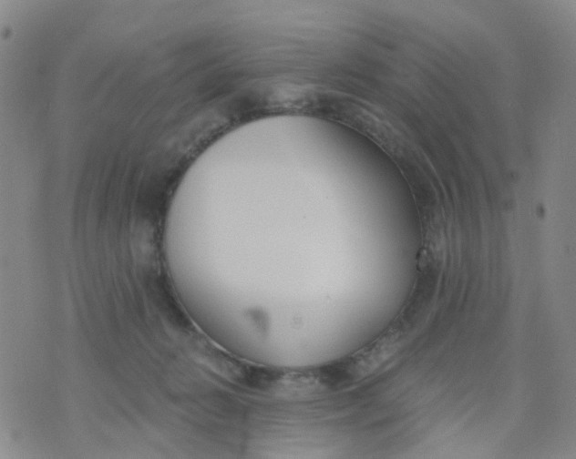 X0000073920270200609011817