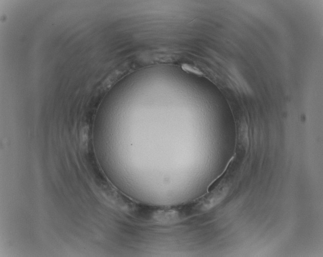 X0000073920271200609011817