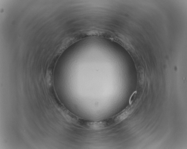 X0000073920273200609011817